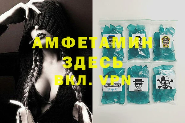 ГАЛЛЮЦИНОГЕННЫЕ ГРИБЫ Туринск