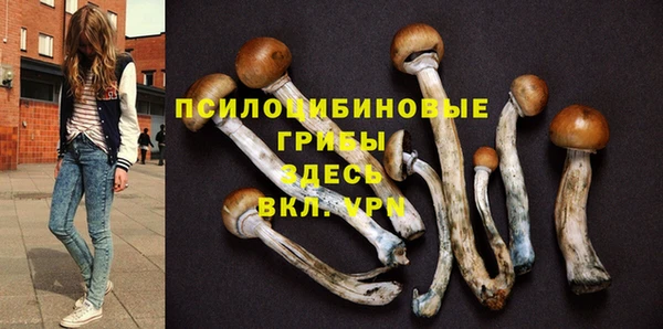 не бодяженный Баксан