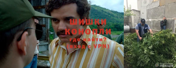 ПСИЛОЦИБИНОВЫЕ ГРИБЫ Балабаново