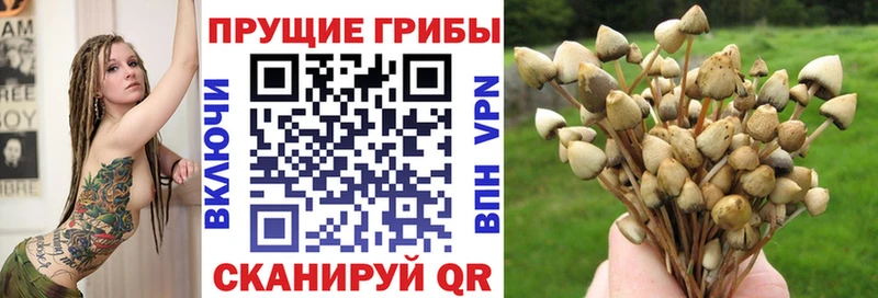Купить закладки  Поронайск  Псилоцибиновые грибы мухоморы 